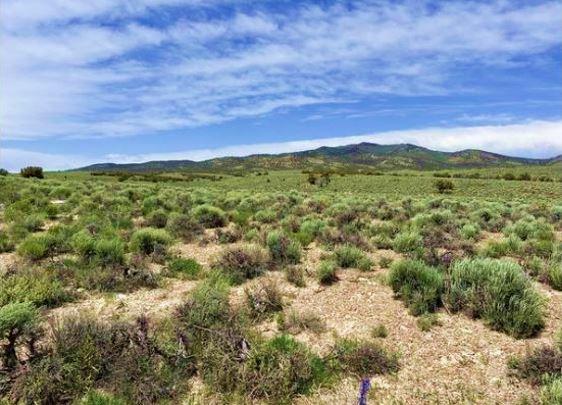 5.03 Acres for Sale in Mesita, Colorado