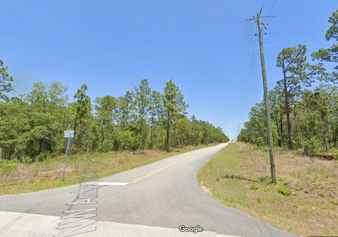 0.24 Acres for Sale in Dunnellon, Florida