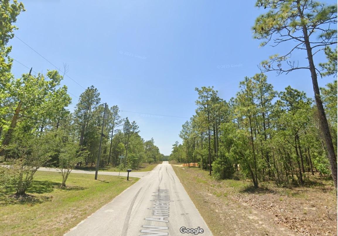 0.24 Acres for Sale in Dunnellon, Florida