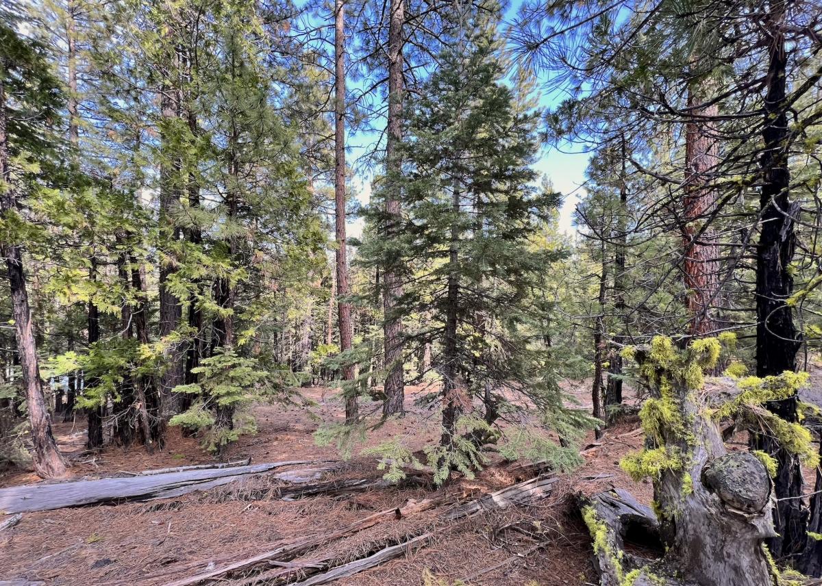 0.97 Acres for Sale in California Pines, California