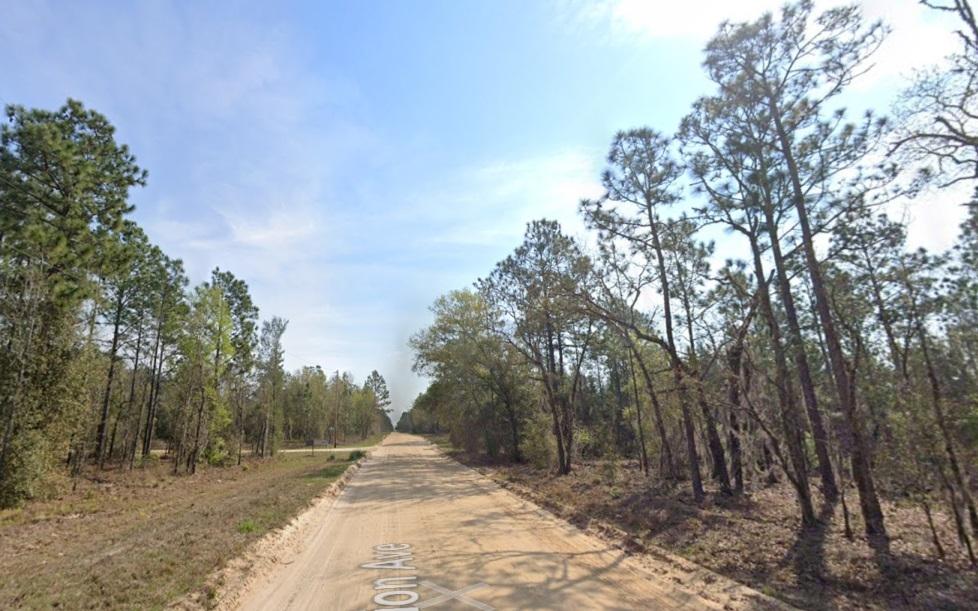 0.2 Acres for Sale in Interlachen, Florida