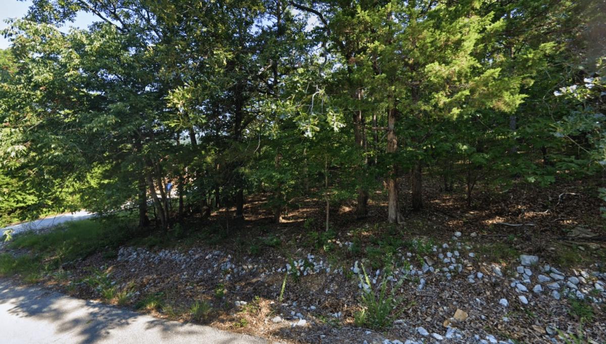 0.19 Acres for Sale in Diamond City, Arkansas