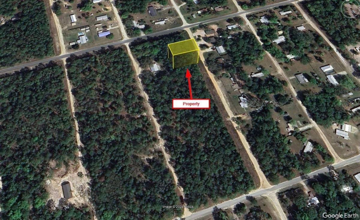 0.23 Acres for Sale in SATSUMA, Florida