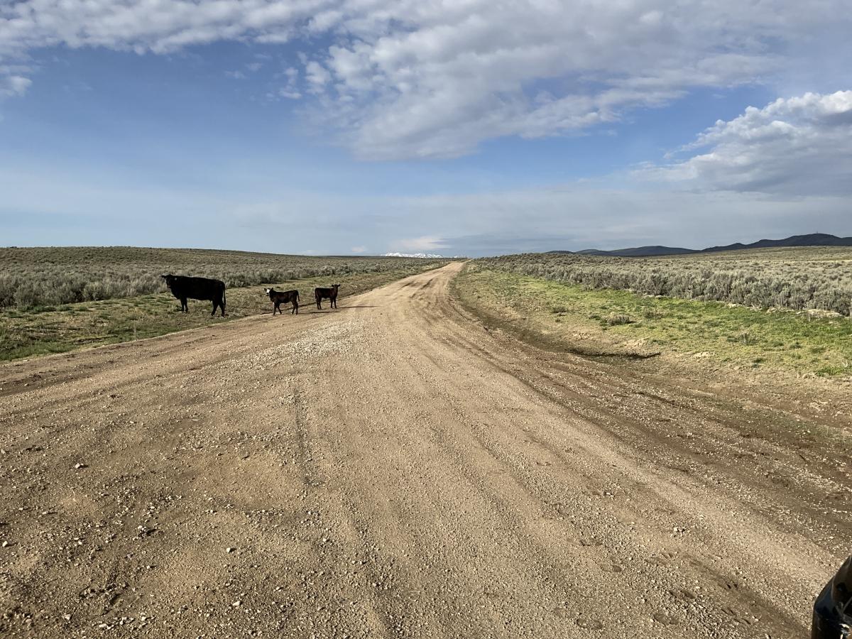 1.13 Acres for Sale in Elko, Nevada