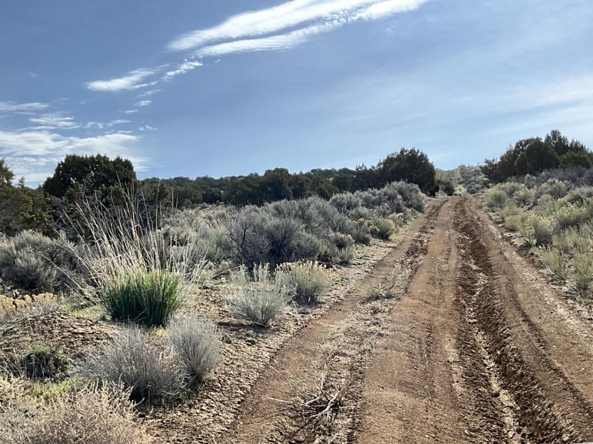 1.13 Acres for Sale in Spring Creek, Nevada