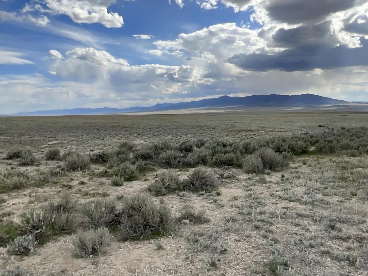 10 Acres for Sale in Montello, Nevada