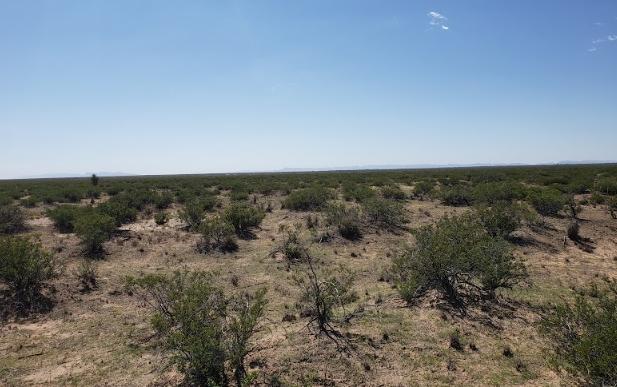 4.93 Acres for Sale in Agua Dulce, Texas