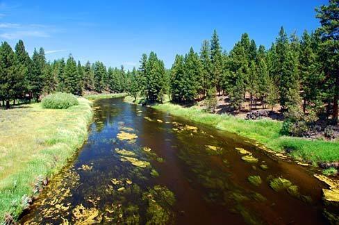 2.29 Acres for Sale in Sprague River, Oregon