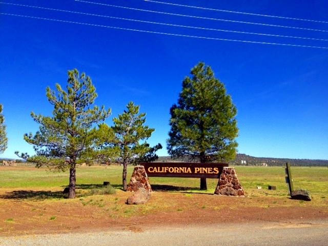 0.90 Acres for Sale in California Pines, California