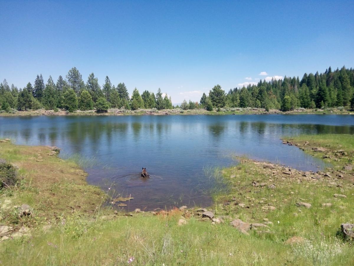 0.93 Acres for Sale in Alturas, California