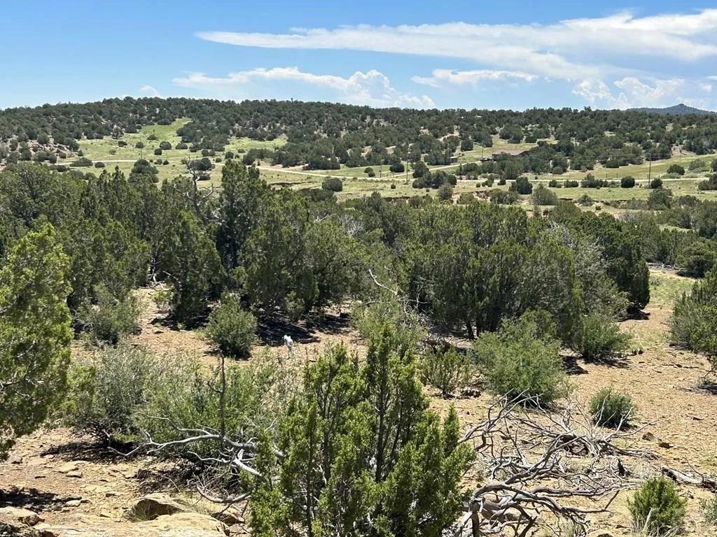 2.13 Acres for Sale in Walsenburg, Colorado