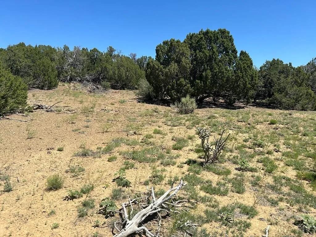 2.13 Acres for Sale in Walsenburg, Colorado