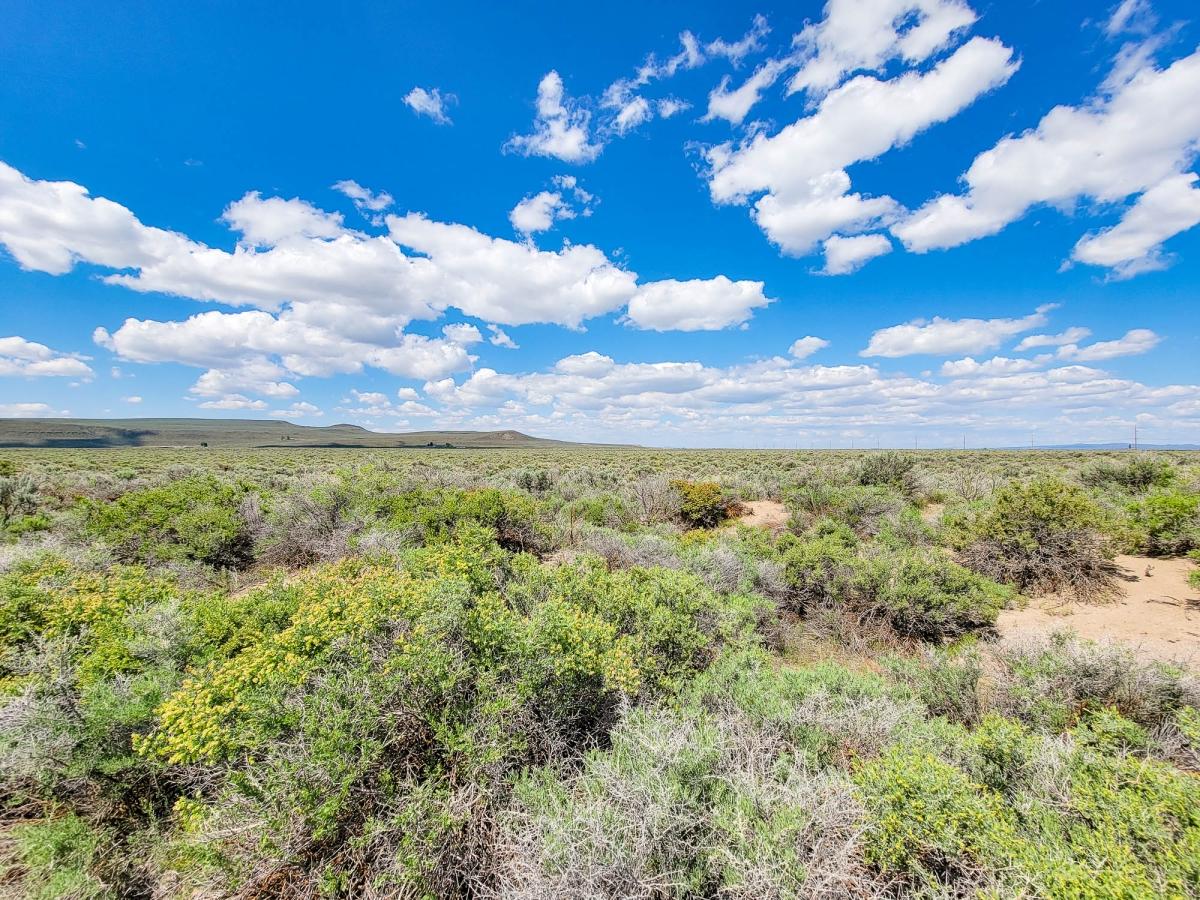 40.00 Acres for Sale in Christmas Valley, Oregon