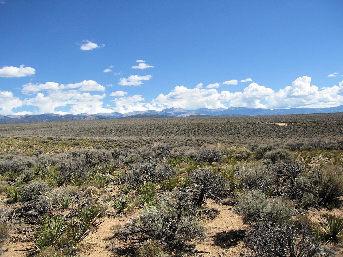 5.00 Acres for Sale in San Acacio, Colorado