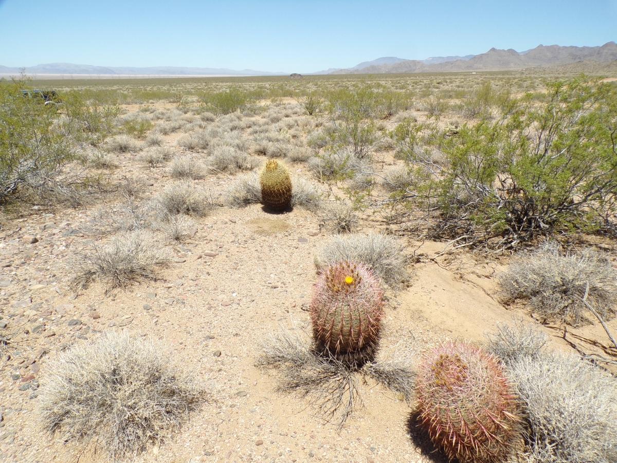 1.30 Acres for Sale in Kingman, Arizona