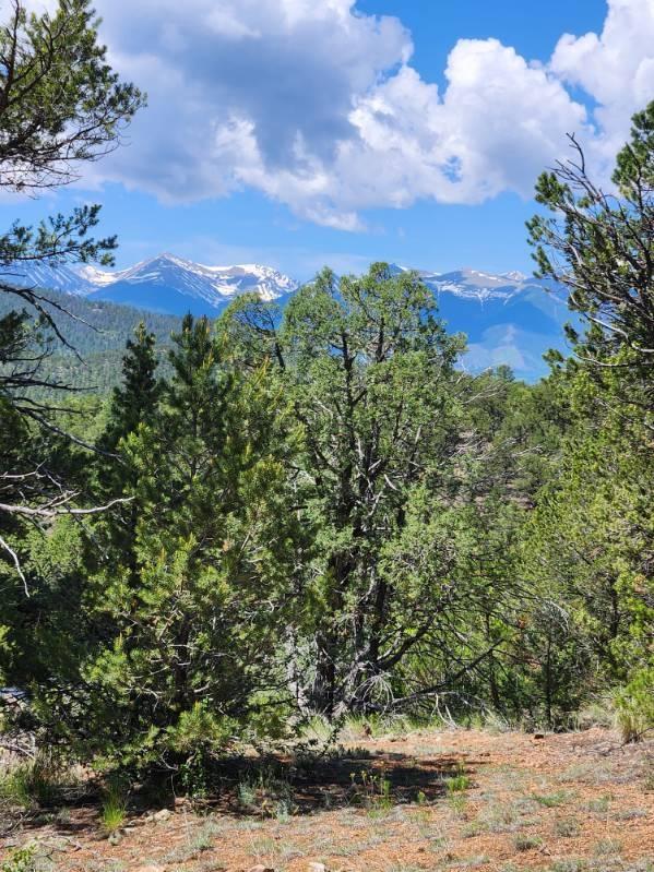 4.81 Acres for Sale in Texas Creek, Colorado