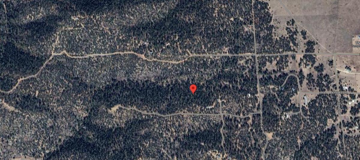 4.81 Acres for Sale in Texas Creek, Colorado