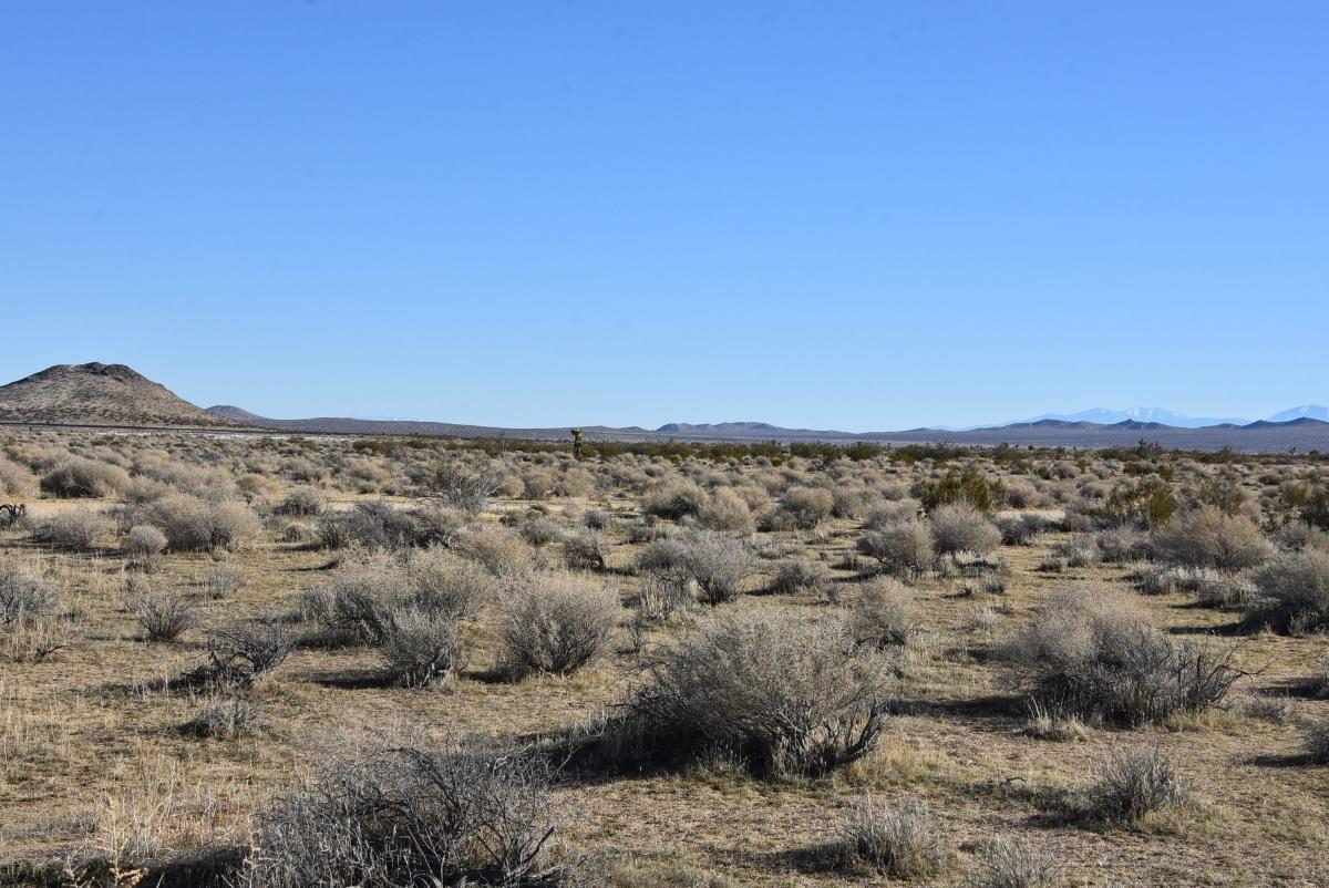 1.25 Acres for Sale in Mojave, California