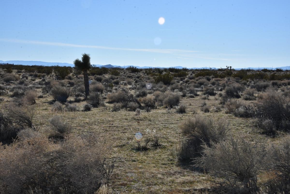 1.25 Acres for Sale in Mojave, California