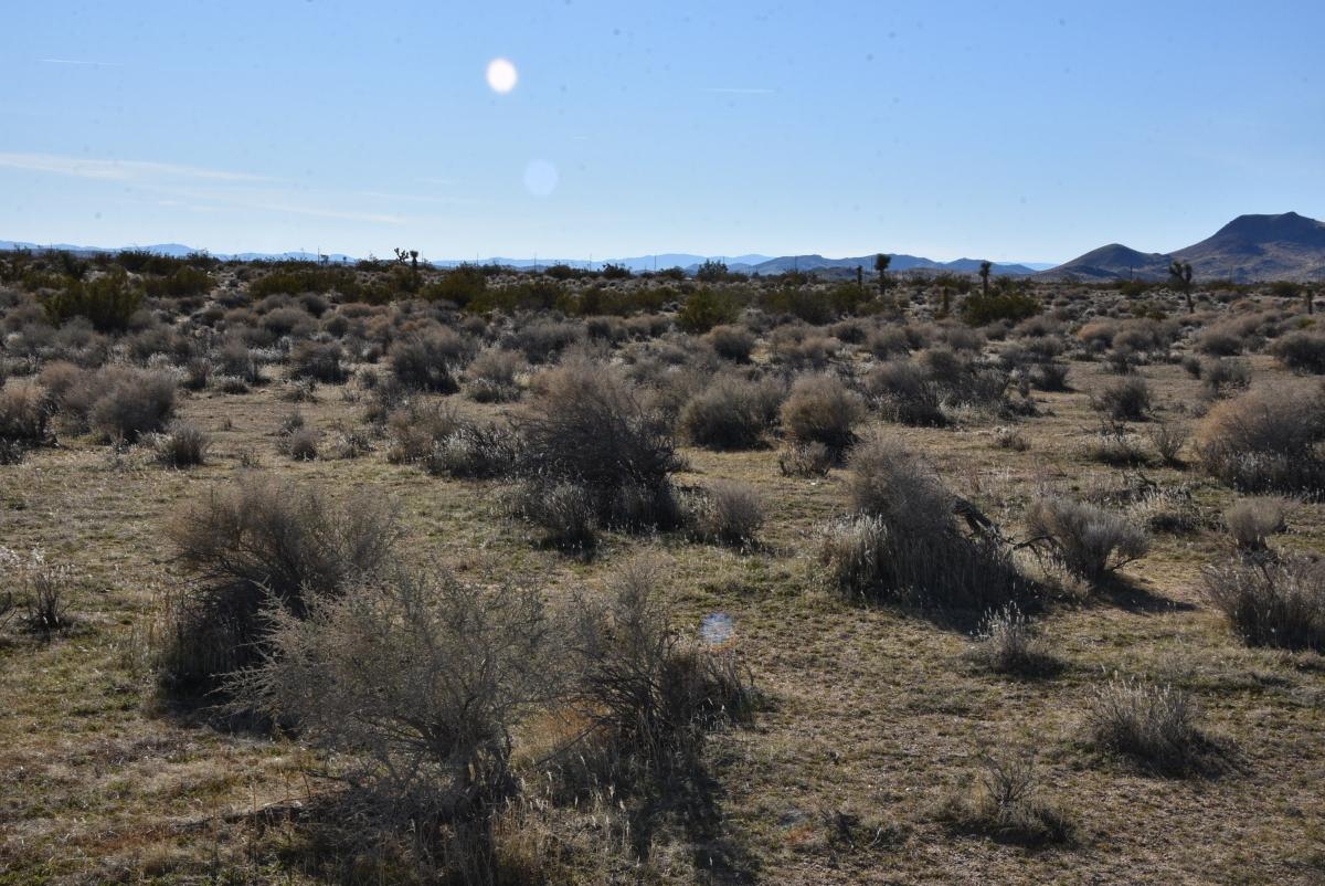 1.25 Acres for Sale in Mojave, California