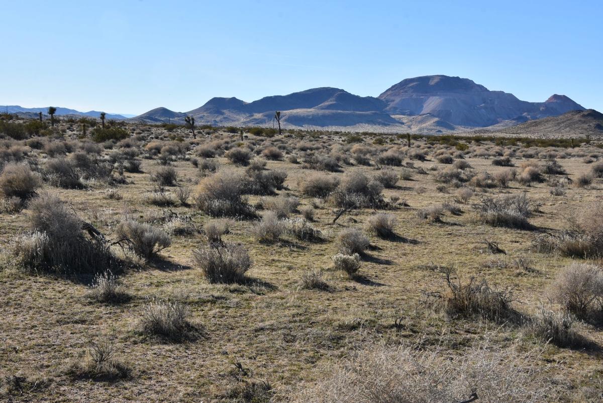 1.25 Acres for Sale in Mojave, California