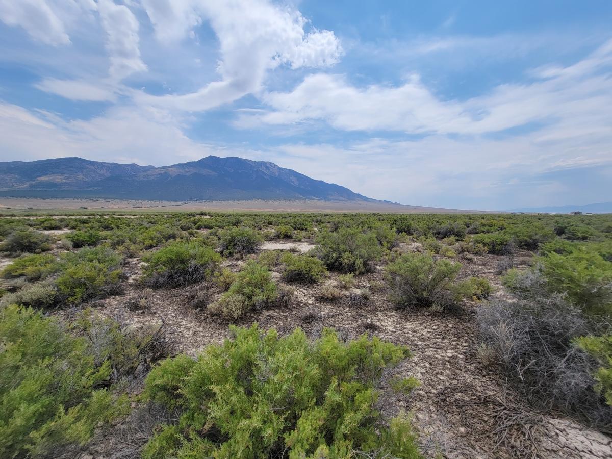 2.27 Acres for Sale in Montello, Nevada