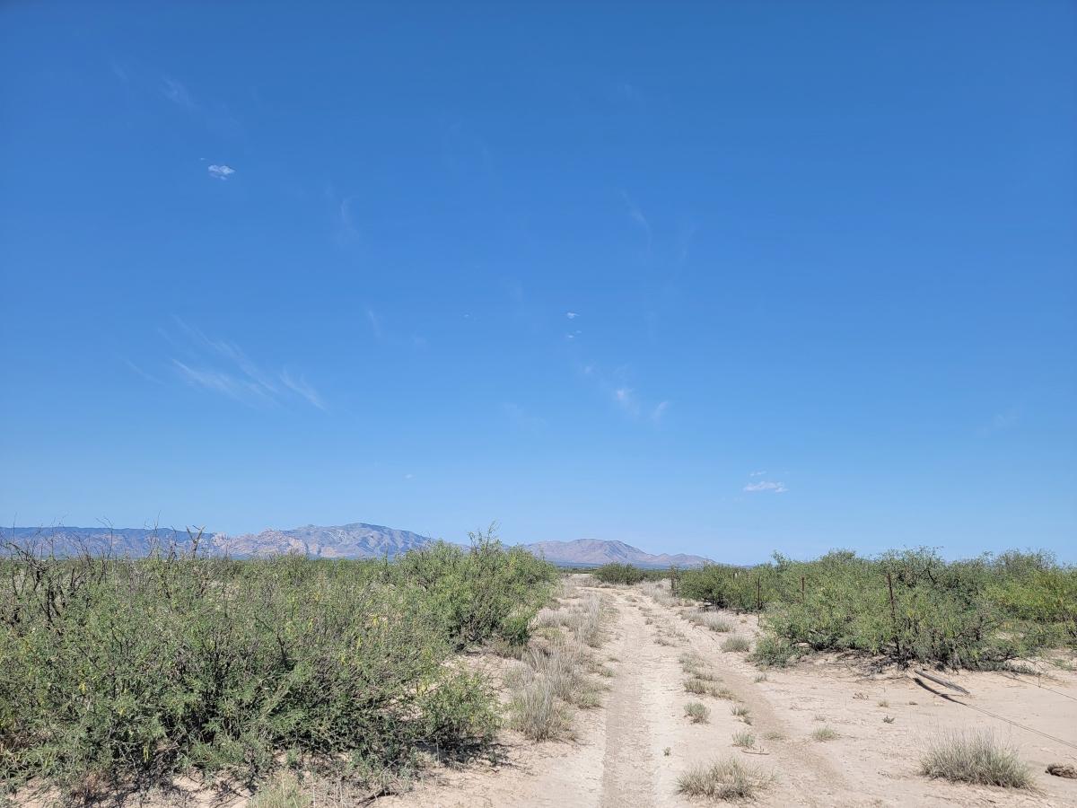 0.86 Acres for Sale in Sunsites, Arizona