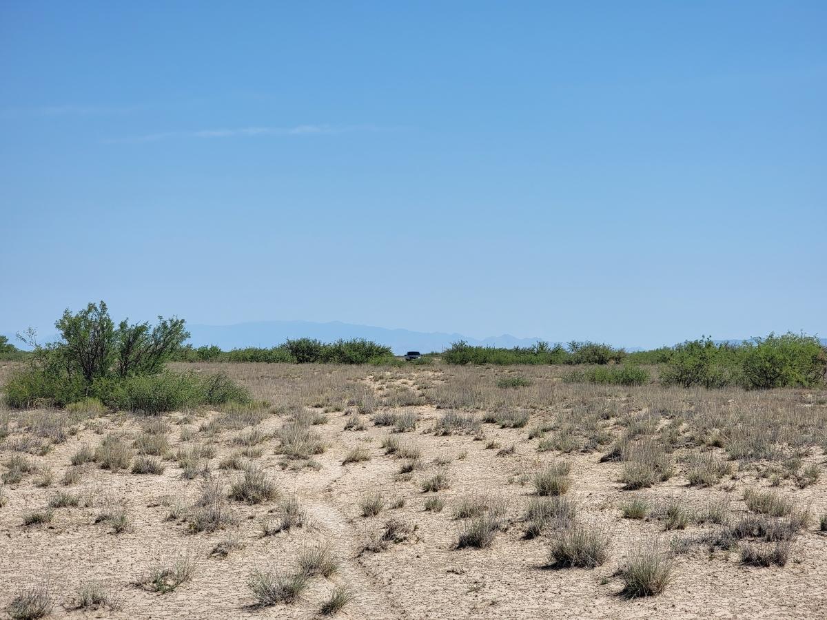 0.86 Acres for Sale in Sunsites, Arizona