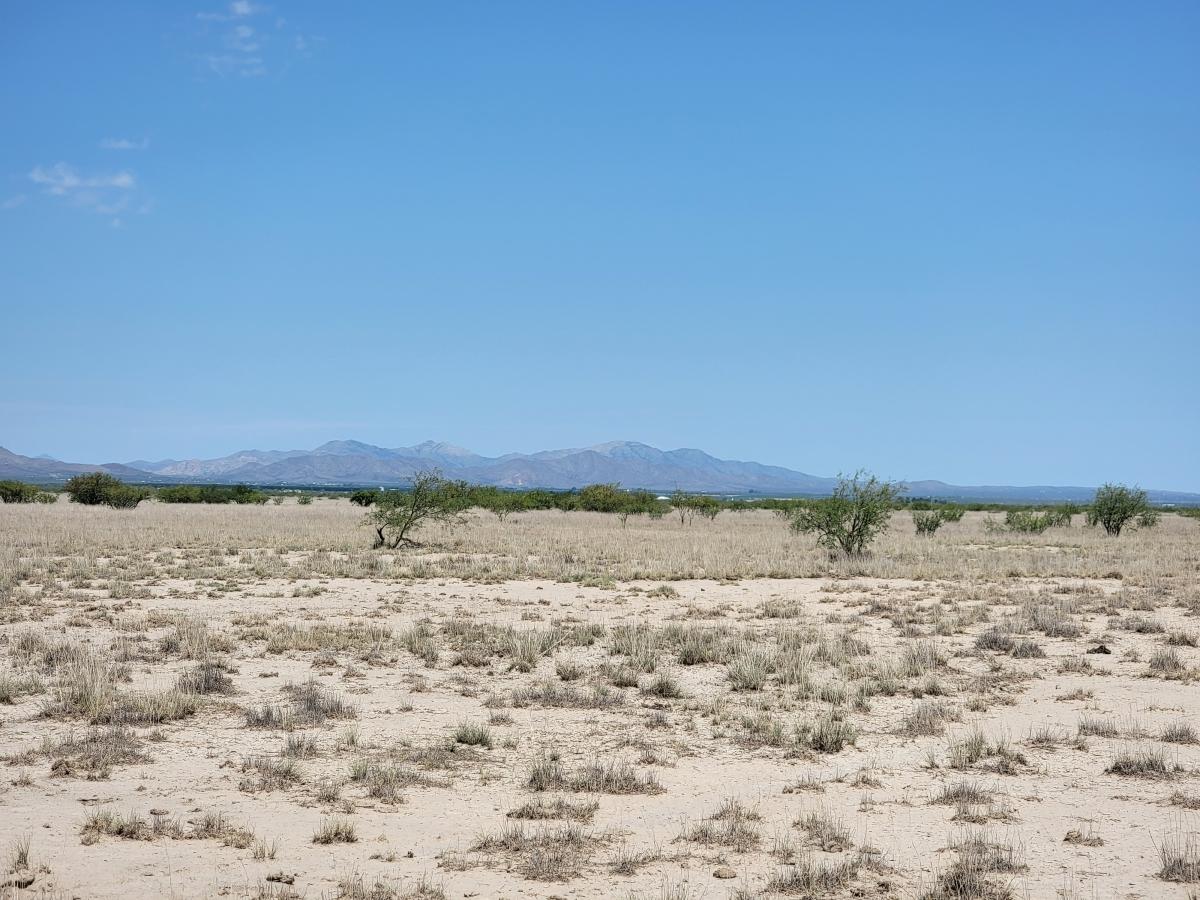 0.86 Acres for Sale in Sunsites, Arizona