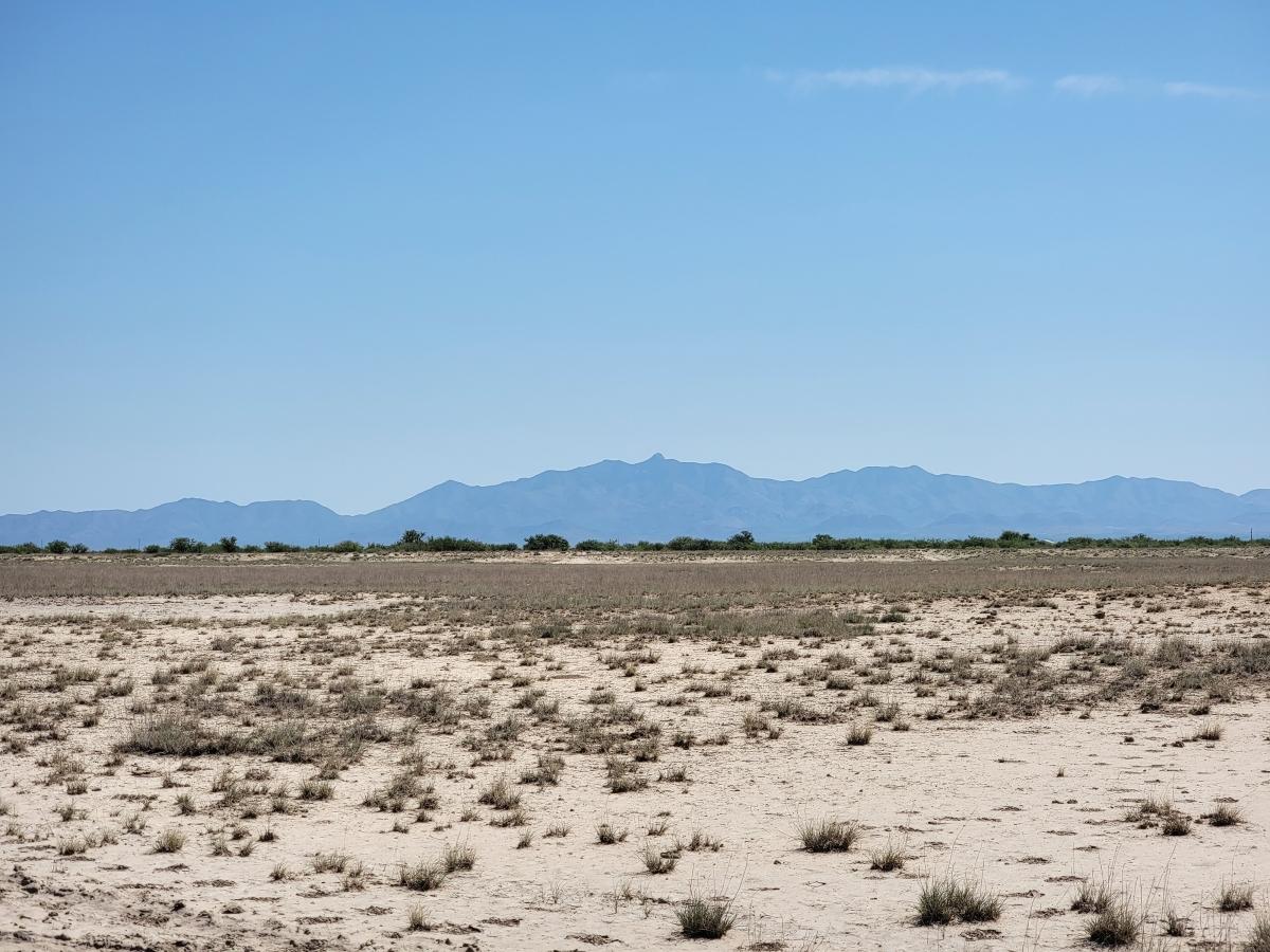 0.86 Acres for Sale in Sunsites, Arizona