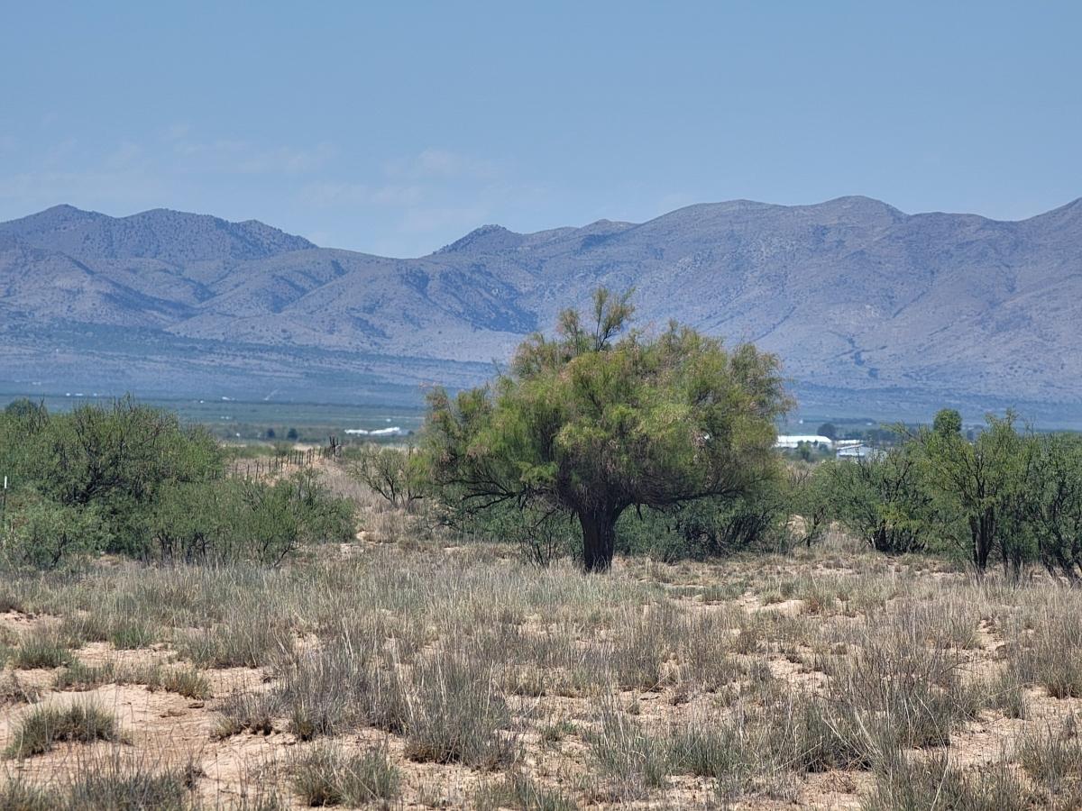 0.85 Acres for Sale in Sunsites, Arizona