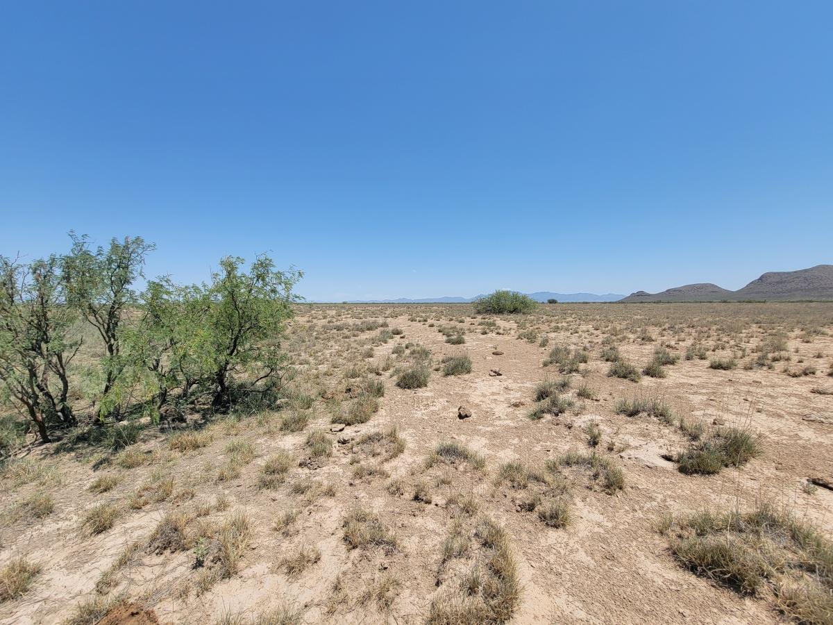 0.85 Acres for Sale in Sunsites, Arizona