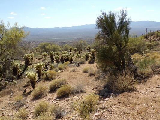 1.25 Acres for Sale in Wikieup, Arizona