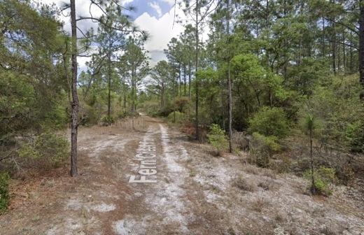 1.48 Acres for Sale in Georgetown, Florida