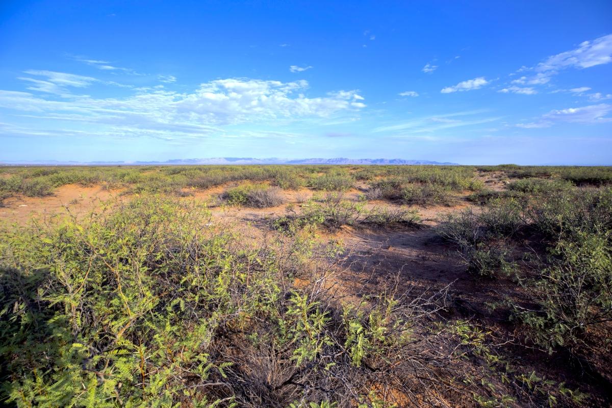 5.00 Acres for Sale in Plateau, Texas