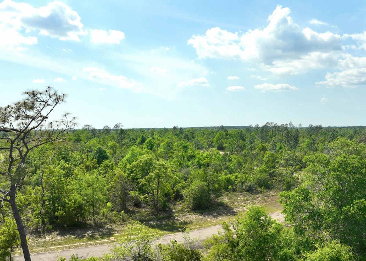 0.29 Acres for Sale in Chipley, Florida