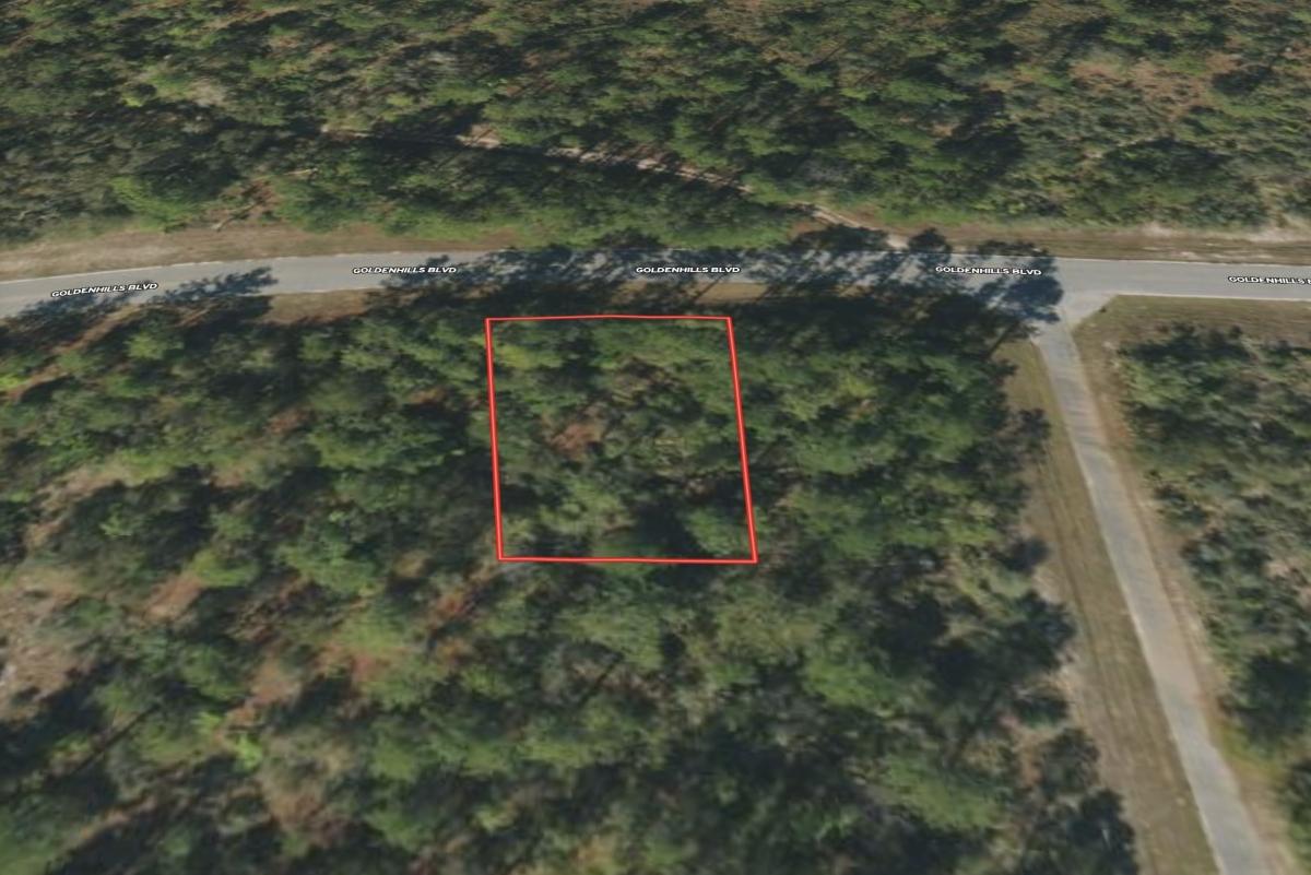 0.23 Acres for Sale in Sunny Hills, Florida