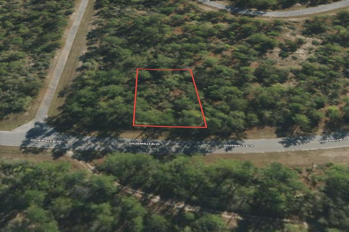 0.23 Acres for Sale in Sunny Hills, Florida