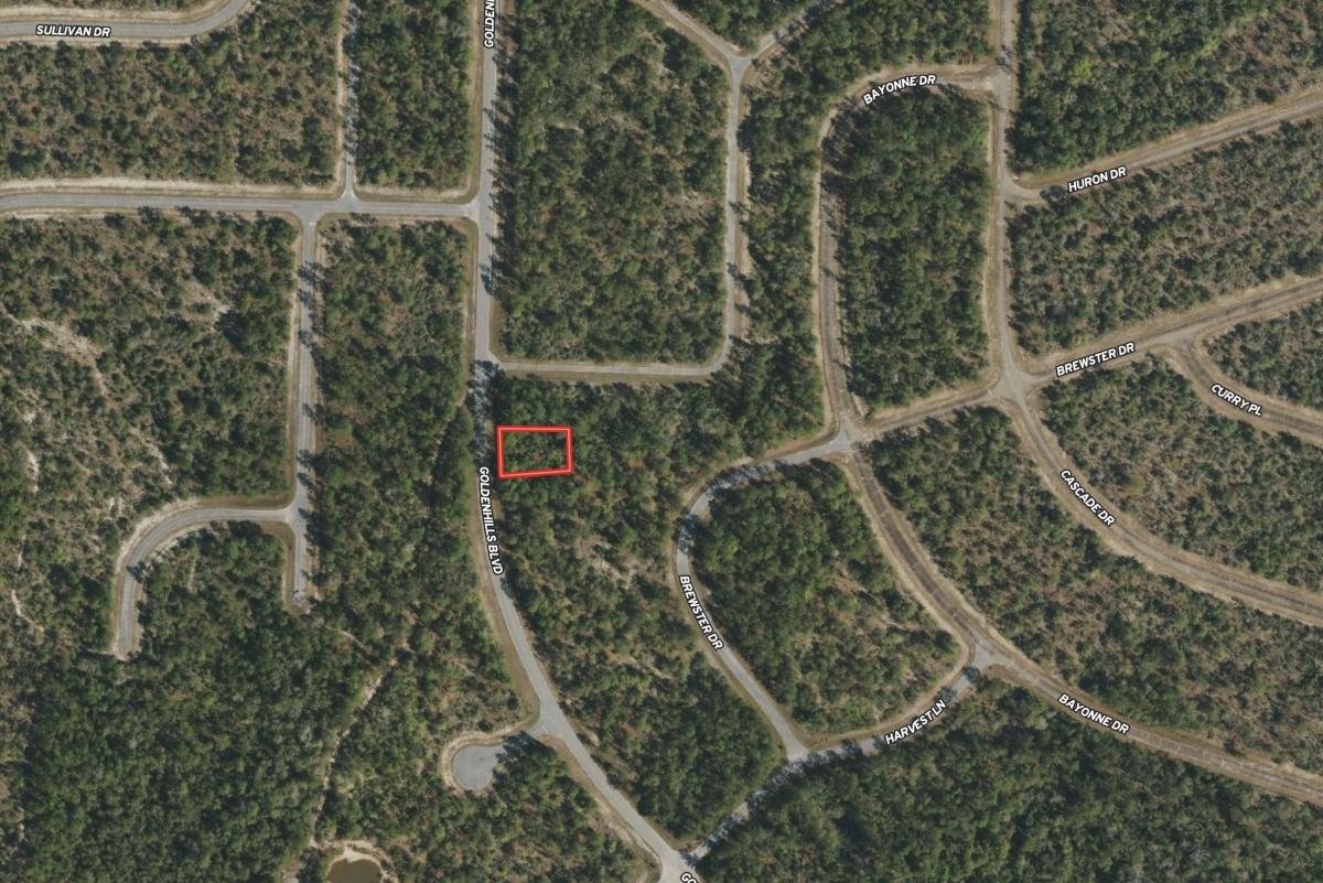 0.23 Acres for Sale in Sunny Hills, Florida