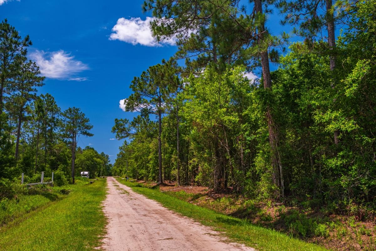 1.13 Acres for Sale in Hastings, Florida