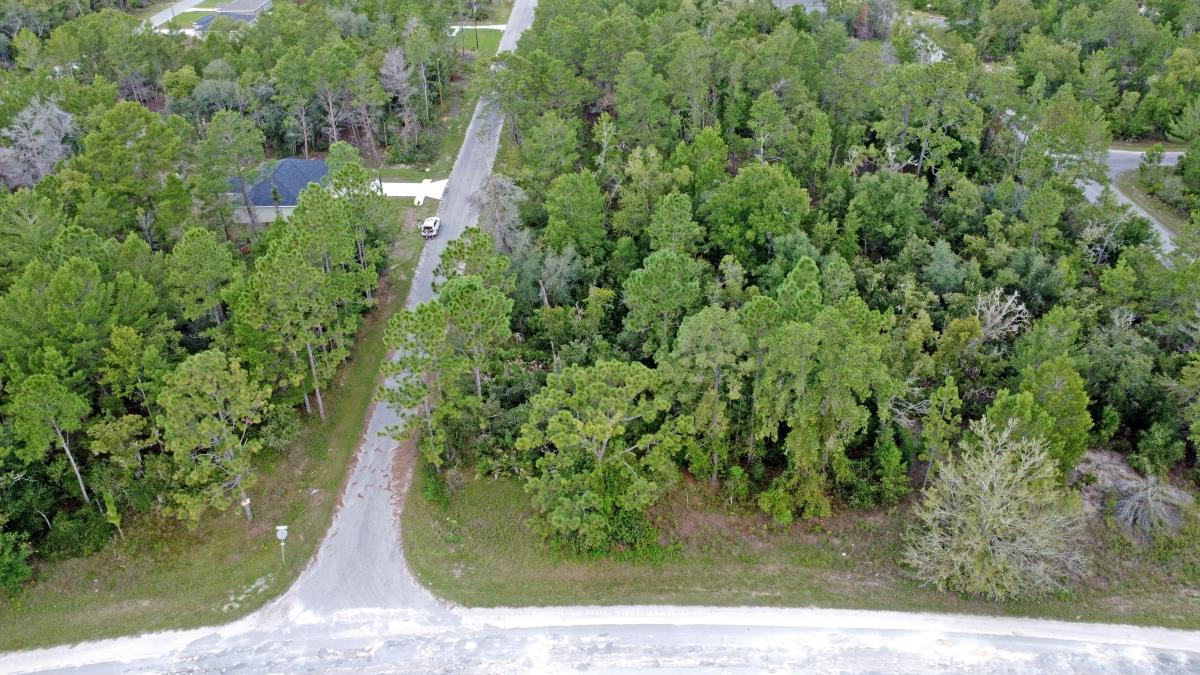 0.24 Acres for Sale in Ocklawaha, Florida