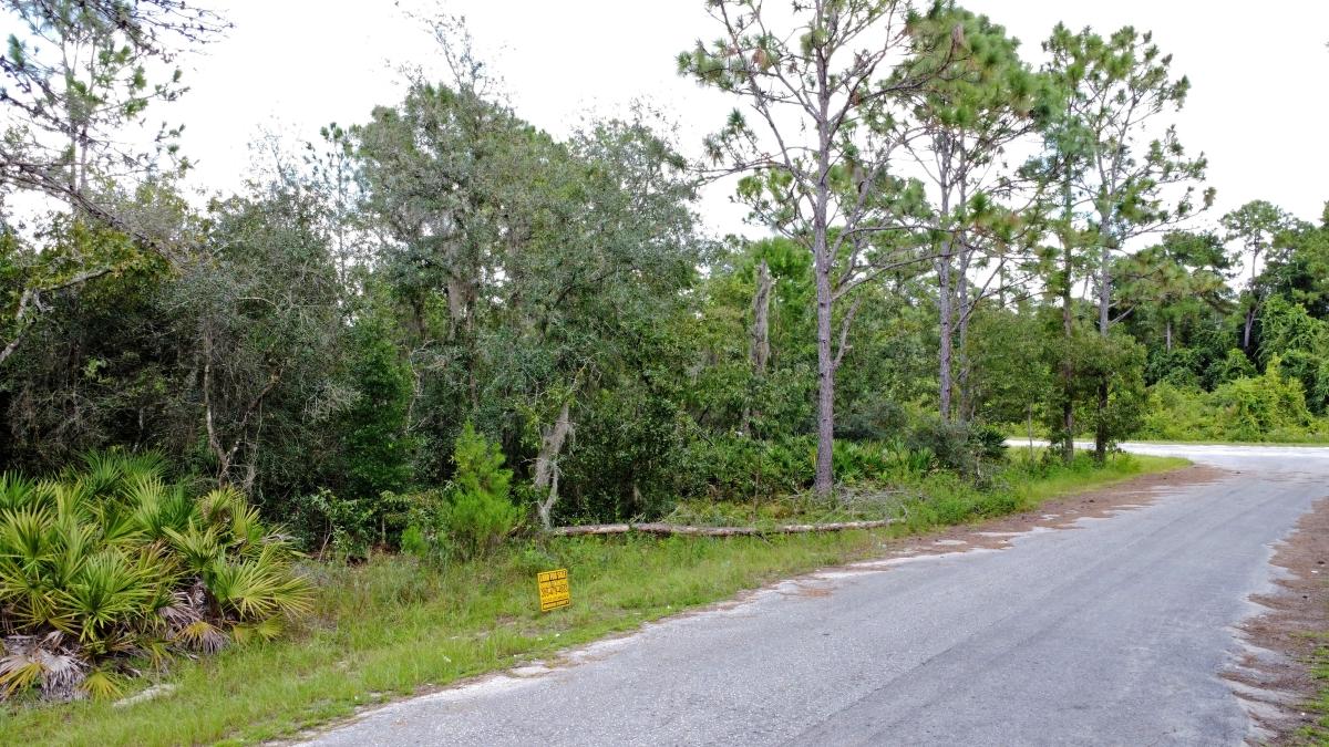 0.24 Acres for Sale in Ocklawaha, Florida