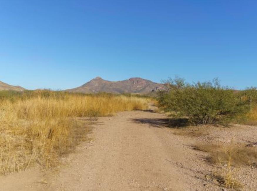 3.87 Acres for Sale in Douglas, Arizona