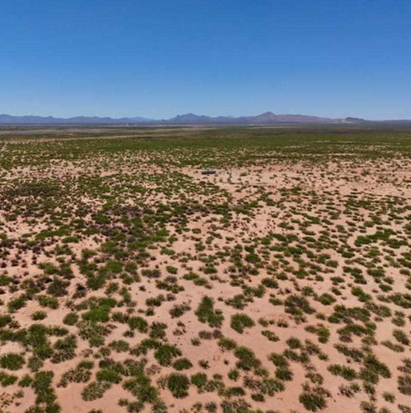 3.87 Acres for Sale in Douglas, Arizona