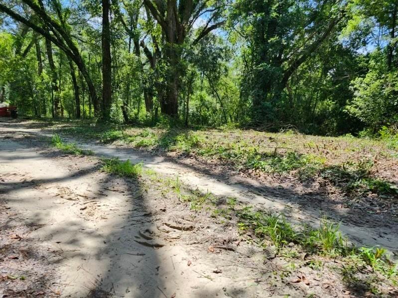 2.55 Acres for Sale in LIVE OAK, Florida