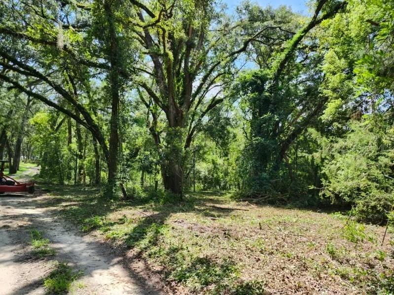 2.55 Acres for Sale in LIVE OAK, Florida