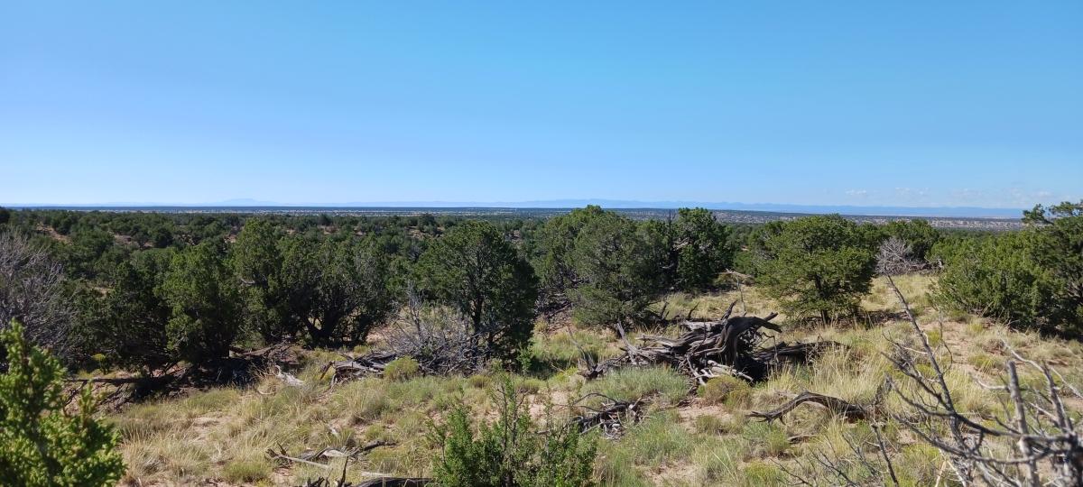 5.00 Acres for Sale in Saint Johns, Arizona