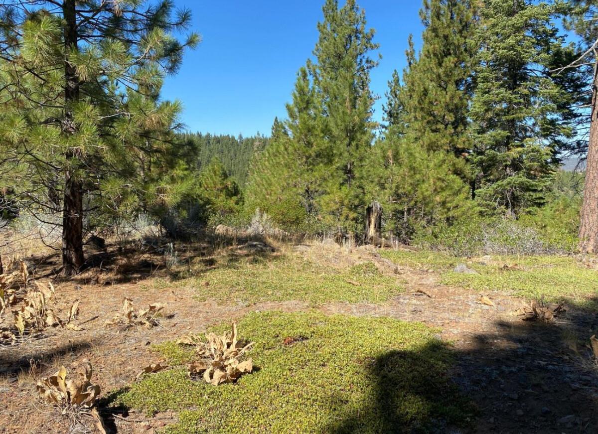 0.92 Acres for Sale in Alturas, CA