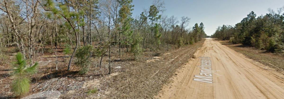 0.45 Acres for Sale in Interlachen, FL