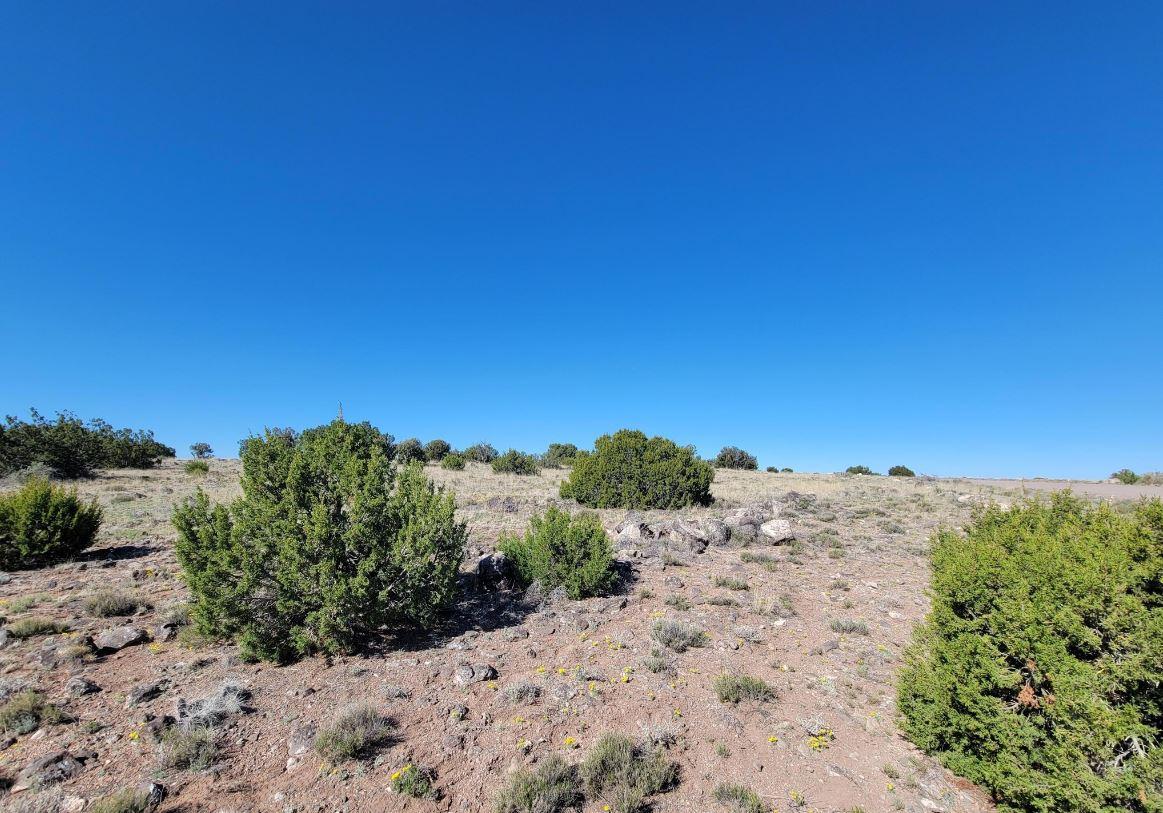 37.15 Acres for Sale in Concho, AZ